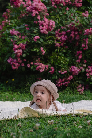 Child Lying on Blanket Surrounded by Pink Flowersの写真素材