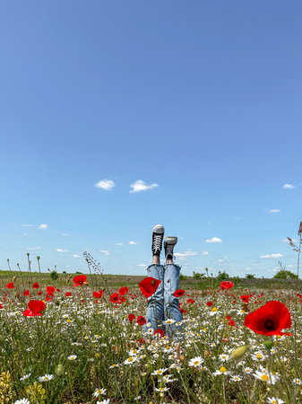 Relaxing in a Field of Poppies and Daisies