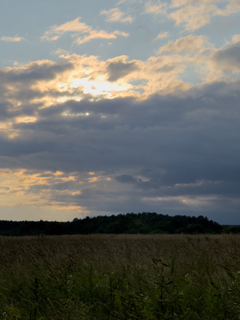 Dramatic Sunset Over Grassy Fieldの写真素材
