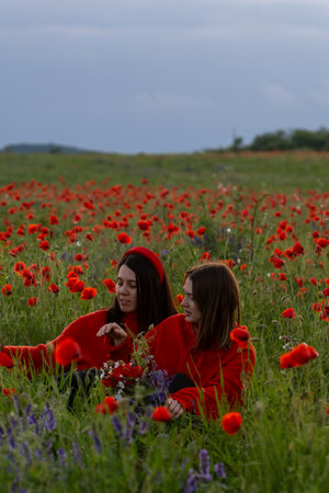 Women in Red in a Poppy Fieldの写真素材