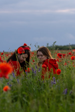 Women in Red in a Poppy Fieldの写真素材