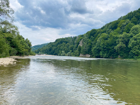 Serene River Flowing Through Lush Forestの写真素材