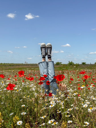 Relaxing in a Field of Poppies and Daisiesの写真素材