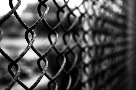 Fence from a metal gridの写真素材