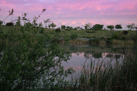 pond sky waterの写真素材