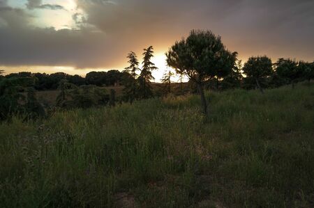 sunset sun clouds dark meadow natureの写真素材