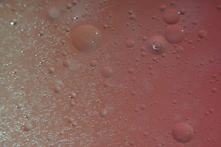 background drops pastel abstraction transparent bubbles lightの写真素材