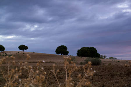 sunrise landscapeの写真素材