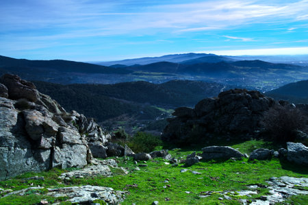 landscape mountains forests trees view nature plants