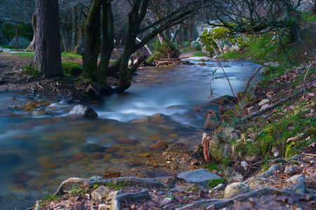 mountain stream water stones view natureの写真素材
