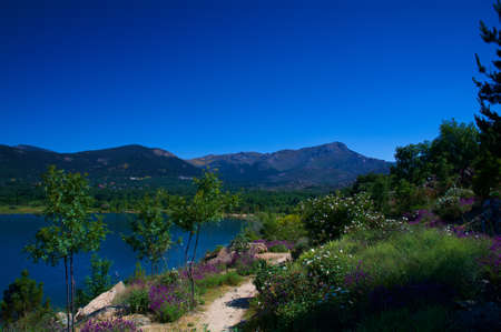 landscape mountains trees lake water nature plants