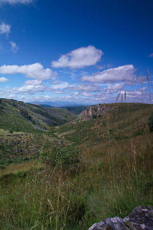 landscape mountain view nature flora spring grassの写真素材