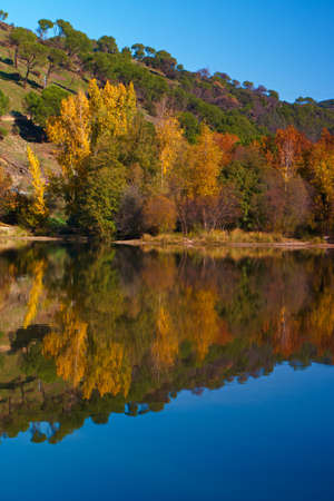 rio river alberche autumn trees leaves nature viewの写真素材