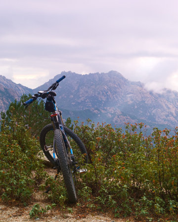bike transport top view landscape nature autumnの写真素材