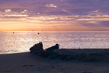 Sunset on the beach of the Baltic Sea in Riga, Latviaの写真素材
