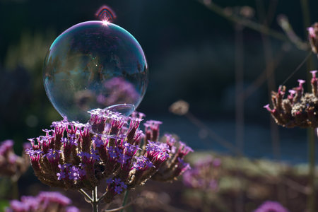 A soap bubble with purple flowers and green grass in the background.の写真素材