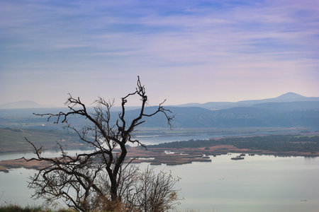 Dead tree on the background of the lake and mountains in the distance