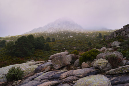 mountains nature landscape outdoor view trees stones navacerrada madrid nature stones autumn natureの写真素材