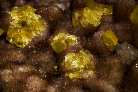 beautiful mineral fossil background crystals mineralogy ornamental stone jewelry gemstones miningの写真素材