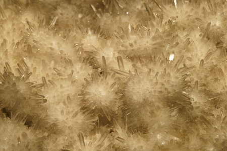 beautiful mineral fossil background crystals mineralogy ornamental stone jewelry gemstones miningの写真素材