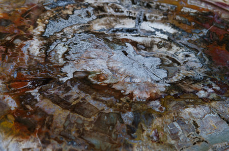 geology minerals of the world minearology stone crystal mountain colors pattern jewelry material beautiful naturalの写真素材