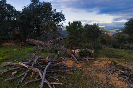 mountain landscape in spring near the artificial lake San Juan near pelayos de la Presa near Madridの写真素材