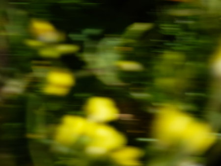 colorful abstract natural background taken with a cameraの写真素材