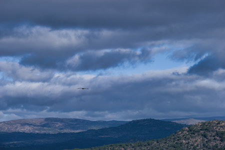 mountain landscape in spain nearby nature view end of winter early march