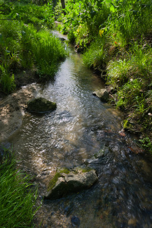 landscape view in casa de campo city park near madrid in spring