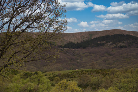 ...spring mountain landscape in the morning in the sierra de guadarrama mountains in spain