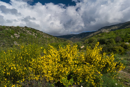 spring landscape mountain view on a sunny beautiful dayの写真素材