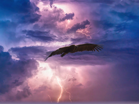 chestnut vulture Aegypius monachus bird in flight against dramatic beautiful sky backgroundの写真素材