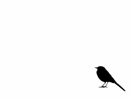 black and white graphics of black birds on a white backgroundの写真素材
