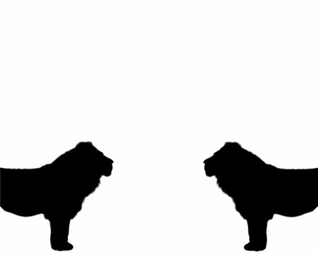 graphic of black lions on a white background standing opposite each otherの写真素材
