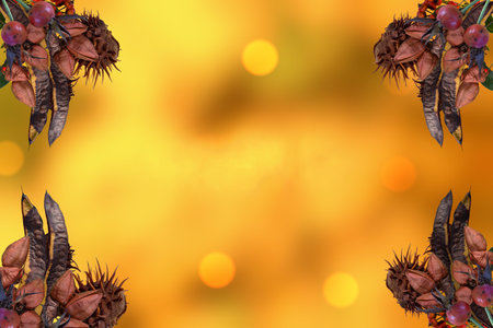 ...Autumn background in pastel colors with beautiful plantsの写真素材