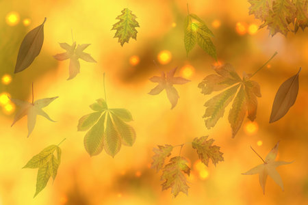 ...Autumn plant background in pastel colors with beautiful patternsの写真素材