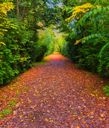 Palace Park in the city of Aranjuez in Spain in the morning in autumn