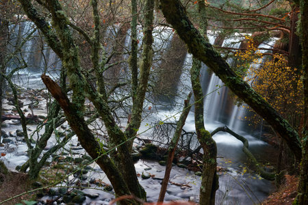 autumn river flowing in the mountains near madrid in the morning