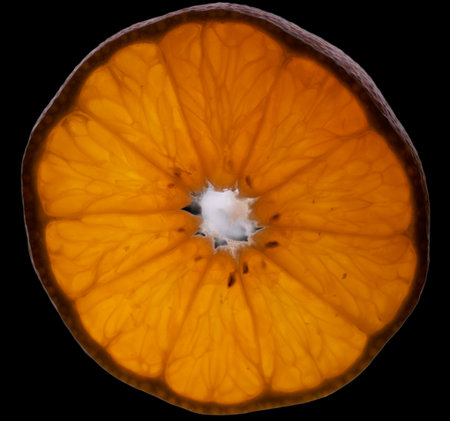 cross section of a tangerine illuminated by backlight structureの写真素材