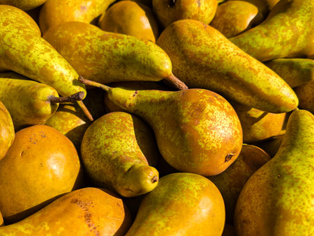 pears displayed on a stall in natural lightの写真素材