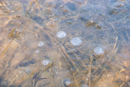 close-up of a frozen sheet of ice on a pondの写真素材
