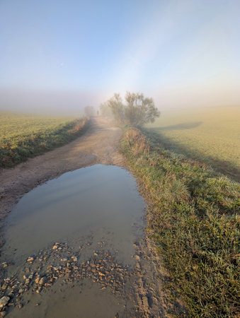 landscape in the fields in the morning on a misty sunny dayの写真素材