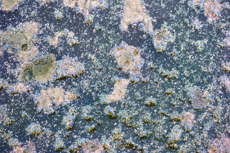 closeup of bubbles in a puddle as a background