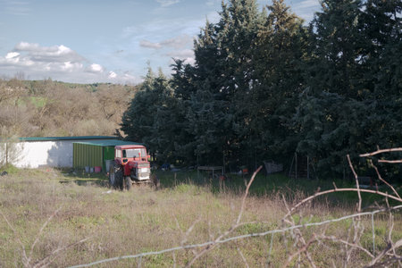 A red truck navigates through an open field near a green storage shed, surrounded by tall trees under a clear blue sky. The area appears peaceful and rural.の写真素材