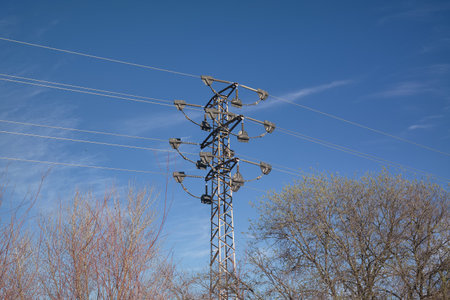 Tall power lines tower over surrounding trees, connecting distant areas and carrying electricity....