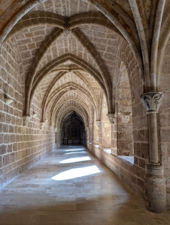 A long stone corridor features arching ceilings and intricate columns, illuminated by soft natural...