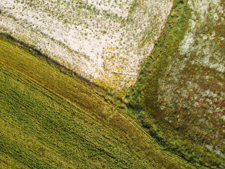 Overhead view showing the vibrant colors of different crops and fields in a rural area. The fields...