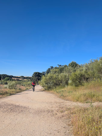 A cyclist navigates a dirt pathway surrounded by greenery under a clear blue sky. It's a beautiful day, perfect for outdoor activities in a serene landscape.の写真素材
