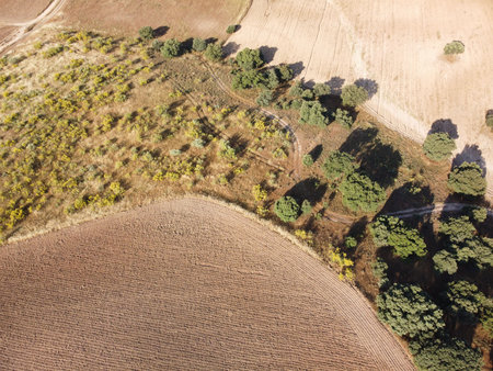 Aerial perspective showcases a vast autumn landscape with patchy fields and vibrant trees. The warm sunlight casts long shadows, creating a serene and picturesque scene.の写真素材