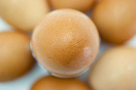 A collection of fresh brown eggs is arranged neatly, with one egg placed prominently at the center. The smooth textures and natural hues create a calm and inviting appearance.の写真素材
